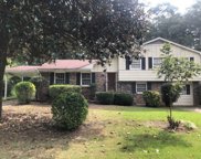 5200 Roses Of Picardy, Atlanta image
