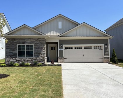 3730 Stormy Lane, Rockvale