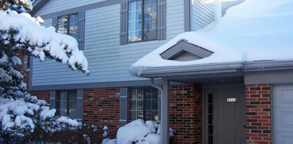 4110 N Pheasant Trail Court Unit #6, Arlington Heights