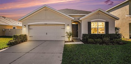 30487 Summer Sun Loop, Wesley Chapel