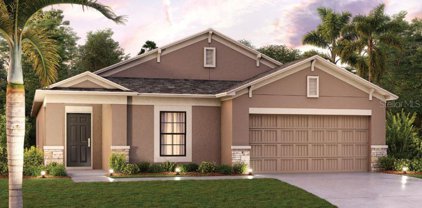 12412 Hilltop Farms Drive, Dade City