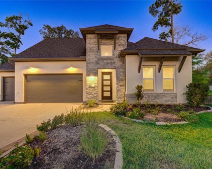 55 Cassena Grove Place, Tomball