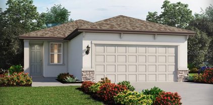 7111 Amelia River Drive, Parrish