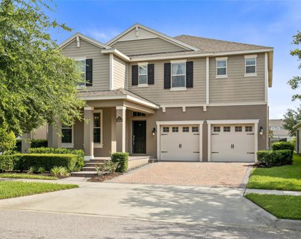 16245 Wind View Lane, Winter Garden