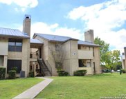 11843 Braesview Unit 1206, San Antonio image