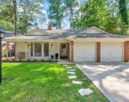 27 Pinewood Forest Court, The Woodlands image