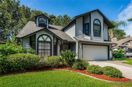 3192 Montrose Place, Palm Harbor