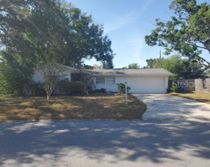 2040 Pine Ridge Drive, Clearwater