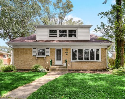 303 S Phelps Avenue, Arlington Heights