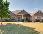 207 Harbor Glen Drive Sw, Madison image