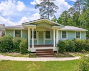 850 Sandbar Road, Chapin image