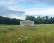 MAPLE RIDGE Trail Unit 6, Town of Iola, Iola image
