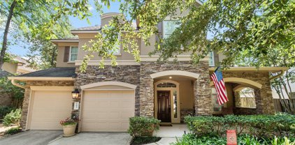 107 S Longsford Circle, The Woodlands