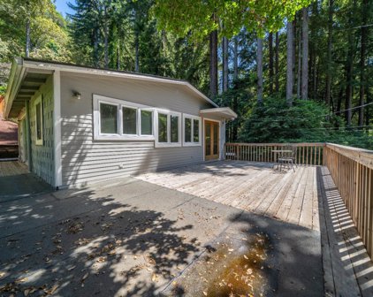 12316 La Lena ST, Felton