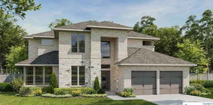 528 Bay Breeze Drive, Kyle