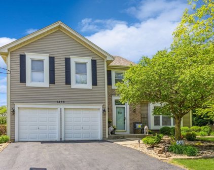 1388 Waterside Drive, Bolingbrook