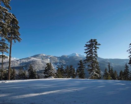 5415 Stonebridge Drive, Whistler