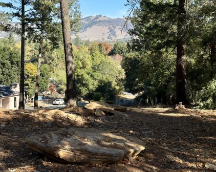 1311 Brush Creek Road, Santa Rosa