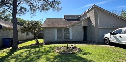 8 Sarita Road, Angleton