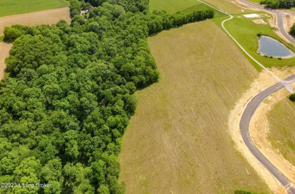 Tract 41 Stallard Springs, Shelbyville