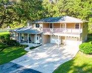 16706 Aucoin Ranch Road, Lutz image