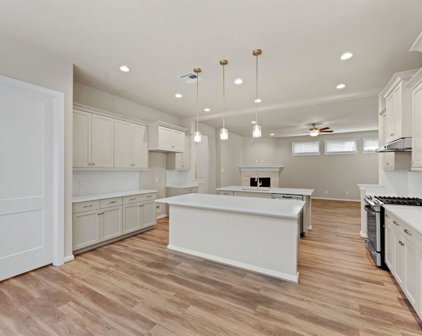 18307 Tiger Flowers Drive, Conroe