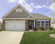 313 Sycamore Crest Way, Chapin image