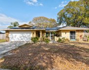 1387 Chelsea Drive, Tarpon Springs image