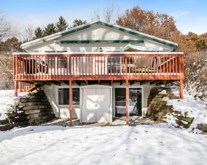 9051 Brower Lake Road NE, Rockford