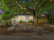 1429 E Powhatan Avenue, Tampa image