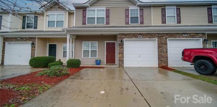 313 Sandy Spring  Lane, Lake Wylie
