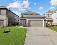 4931 Yellow Ginko Trail, Spring image