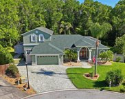 10304 Worthy Lamb Way, New Port Richey image