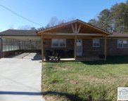 252 Starcrest Avenue, Bassett image