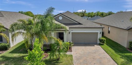 11449 Chilly Water Court, Riverview