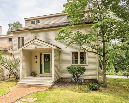 73 Parkhurst Drive Unit 73, Westford