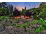 2410 S BERTSINGER RD, Ridgefield image