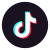 TikTok Icon