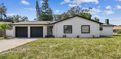 6818 Chippendale Court, Tampa