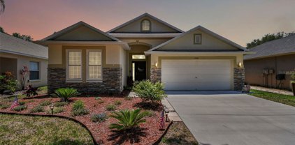 7740 Blue Spring Drive, Land O' Lakes