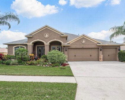 8721 Crystal Creek Court, Land O' Lakes