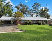102 Riverview Dr, Wewahitchka image