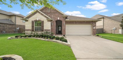 12605 Blossom Walk Court, Pearland