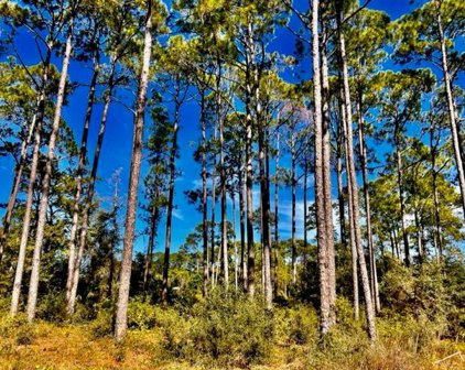 3471 Firefly Cir, Carrabelle