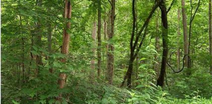 8 Winding Hollow, Shepherdsville