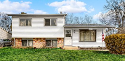 226 Riverside Drive, Bolingbrook