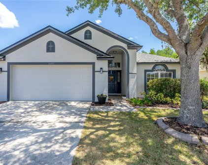 31133 Chatterly Drive, Wesley Chapel