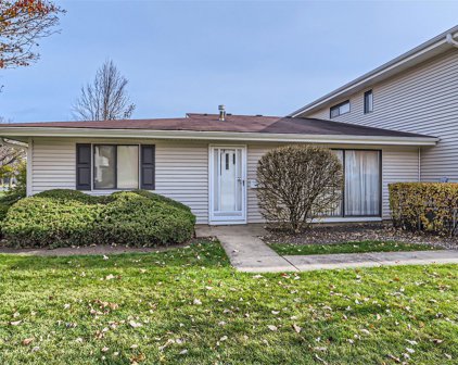 1418 Ellisville Lane Unit #1418, Schaumburg