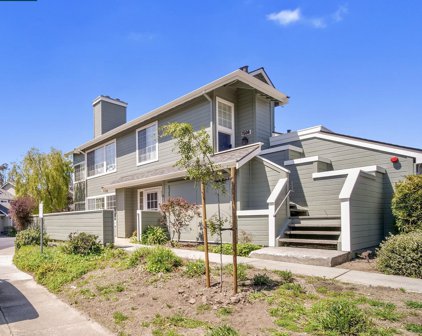 1507 Foxhollow Ln, Daly City
