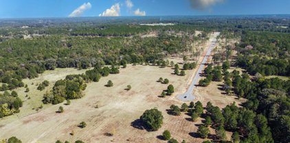 16026 Aniston Lane (LOT 18), Flint